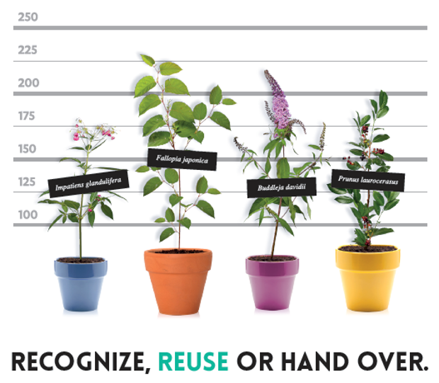 APPLAUSE project cover illustration © city of Ljubljana