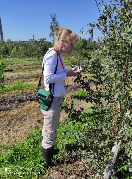 Measurements on new plantings in Ostrava, Bartovice 