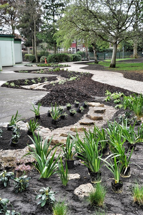 Picture of SuDS at Moorlands School