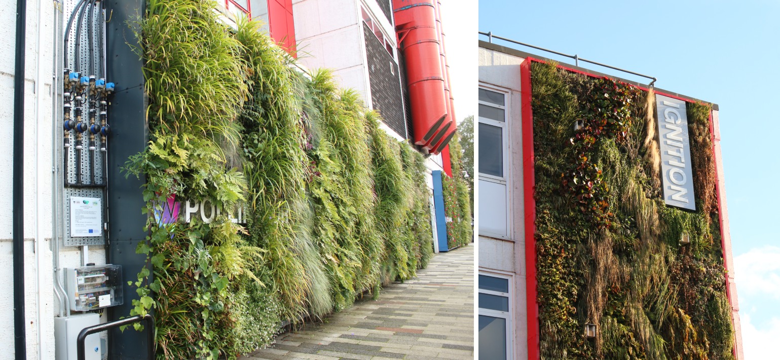 Green wall at the Living Lab building