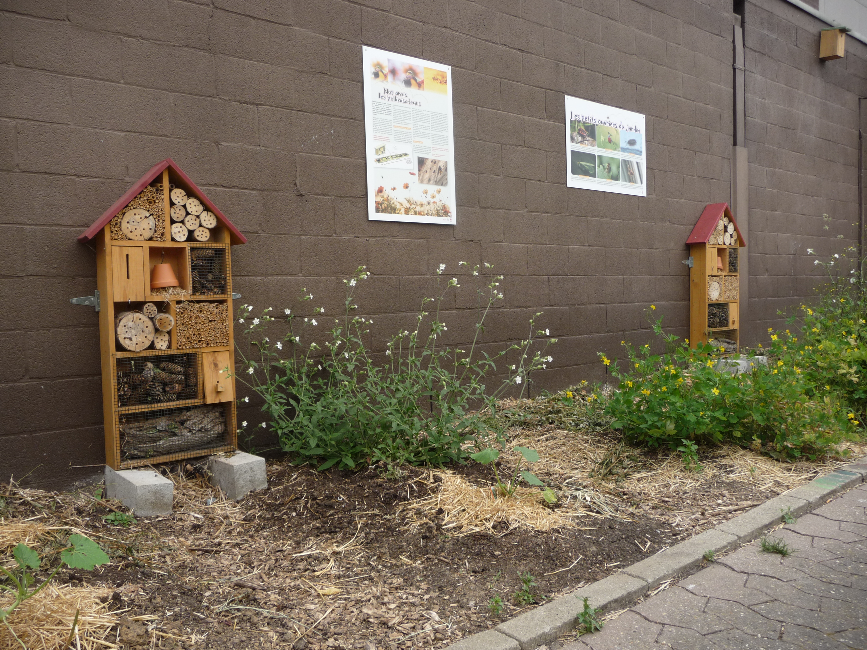 NBS: one exemplary point