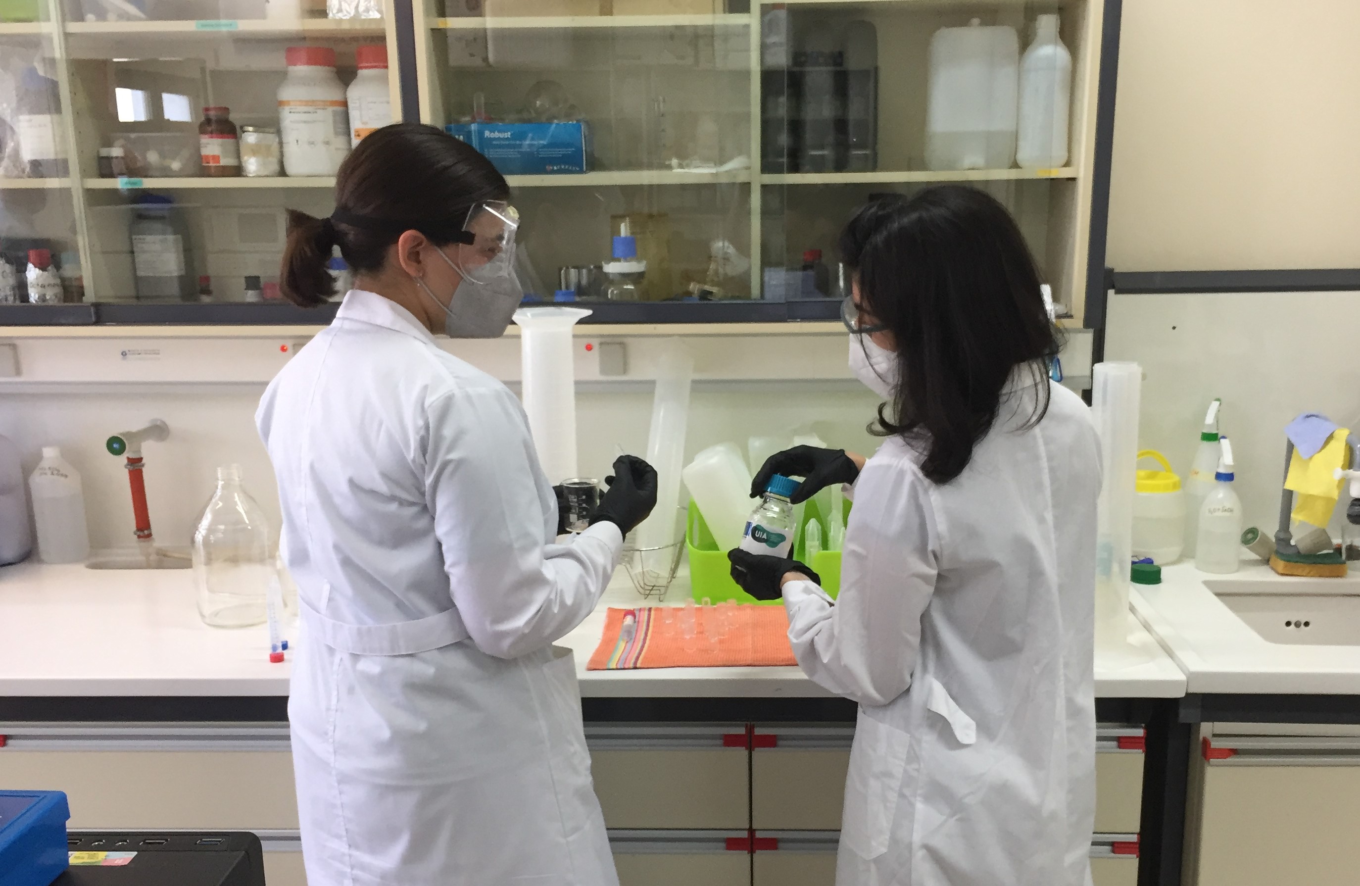                                          Picture 2: Laboratory experiments for the reproduction of biopolymer PLA