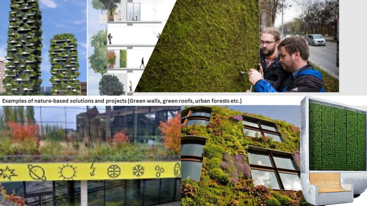 Pictures shown to respondents on nature-based solutions