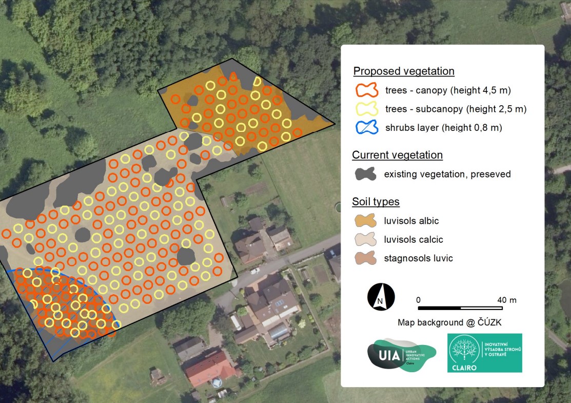 Plan for proposed vegetation in Radvanice 