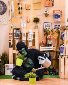 greenApes has created a specific section for the Municipality of Prato  @ City of Prato