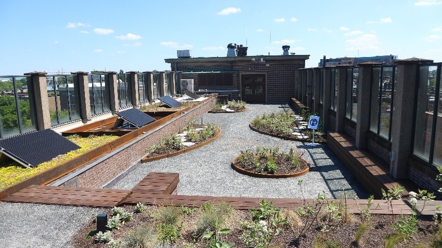 resilio project news1