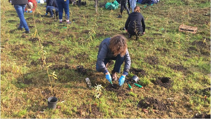 SPIRE Journal 3 - Figure 2 - Plantathlon. Amaya Celaya Alvarez