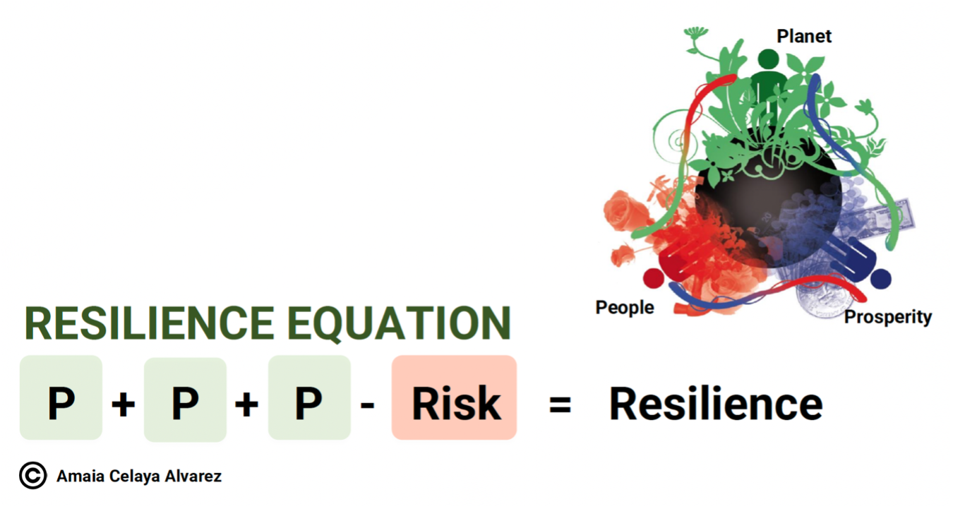 SPIRE Journal 4 - Figure 2 - Resilience Equation. Amaya Celaya Alvarez.png