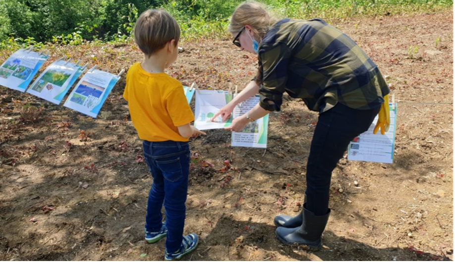 SPIRE Journal 4 - Figure 8 - Participation. Amaya Celaya Alvarez.png