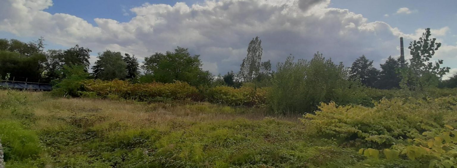 Fig. 2: Pilot site URBIS. Source: Baia Mare Municipality