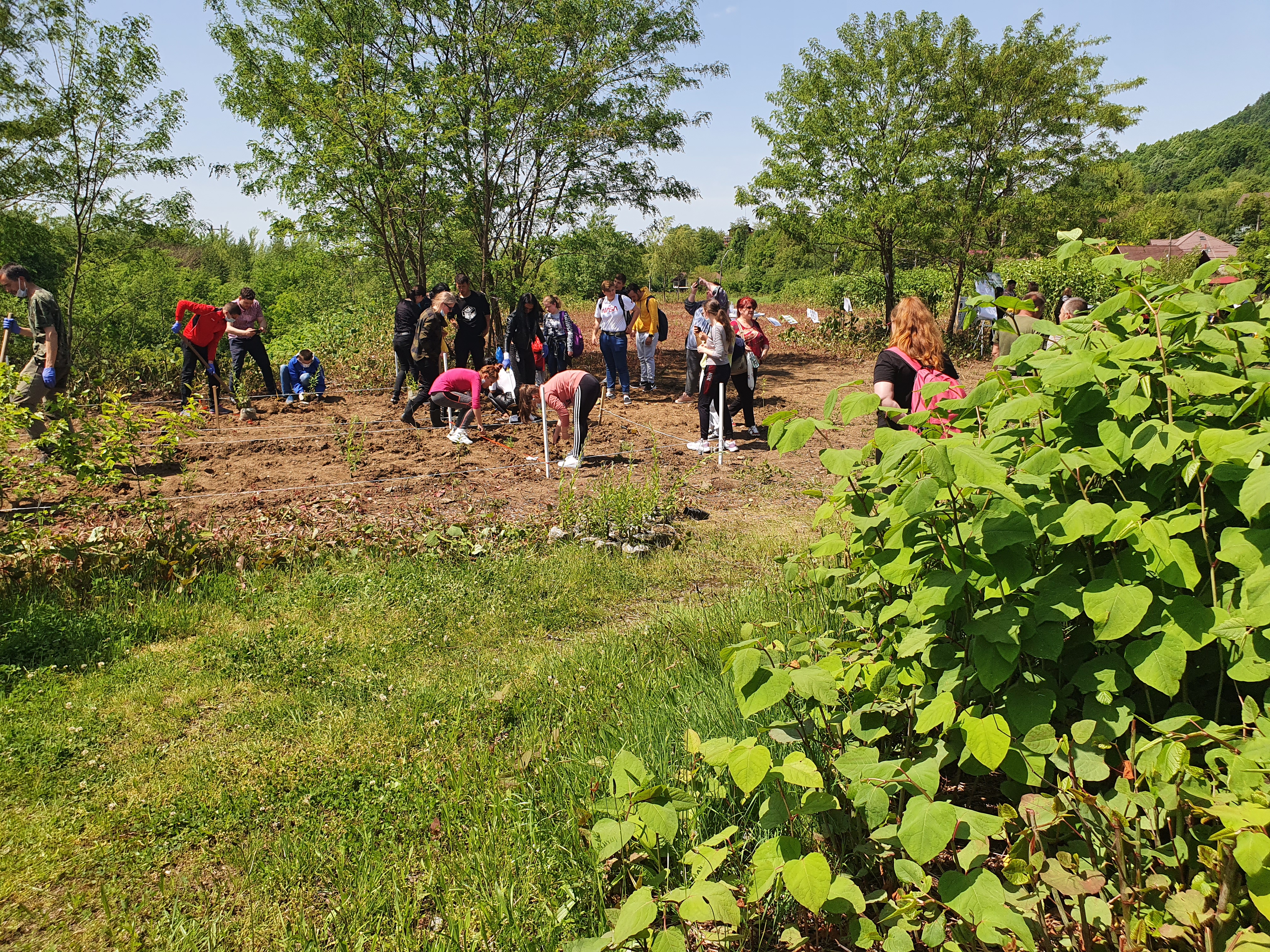 SPIRE Web Article 3 - Figure 1 - Planthatlon