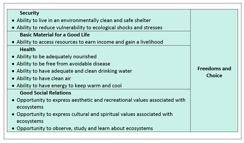 SPIRE Web Article 4 - Figure 3 - WELL-BEING