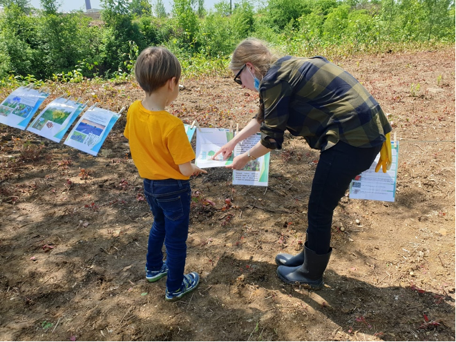 Fig. 11. Planthatlon activities Spring 2021. Source: Baia Mare 