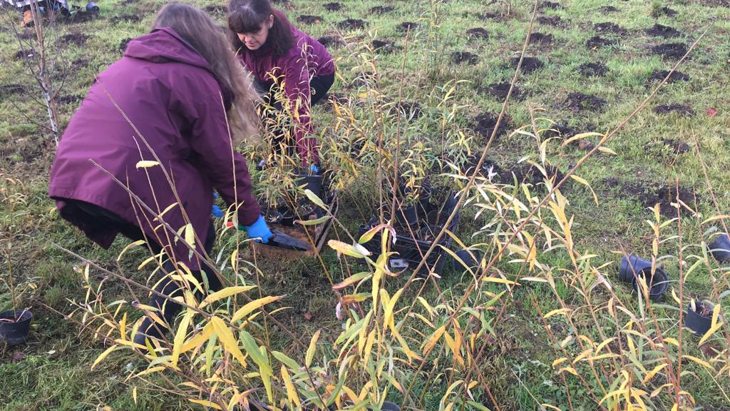 Fig. 2: Willows plantathlon October 2022. Source: SPIRE project