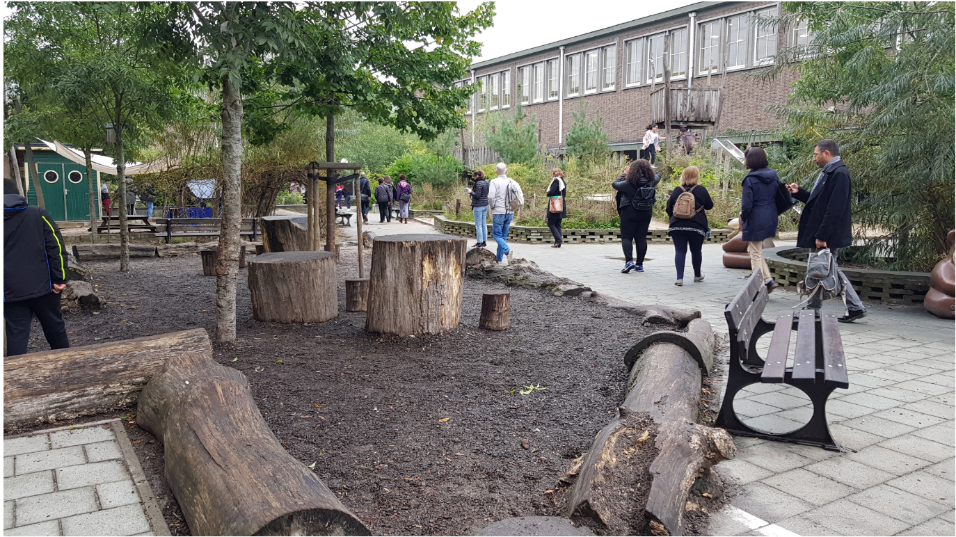 Green Schoolyards in Belgium