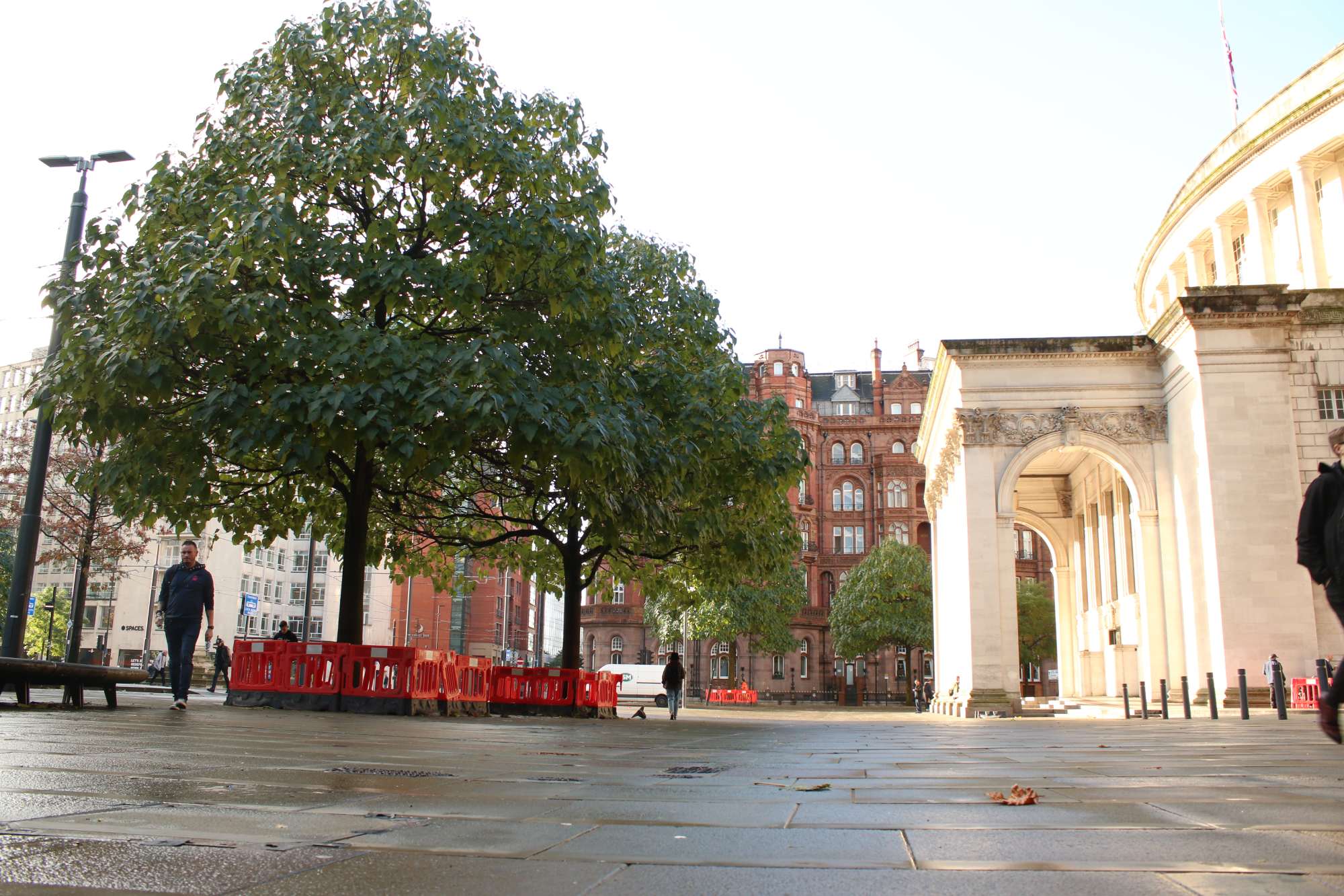 Photo of trees on a grey square