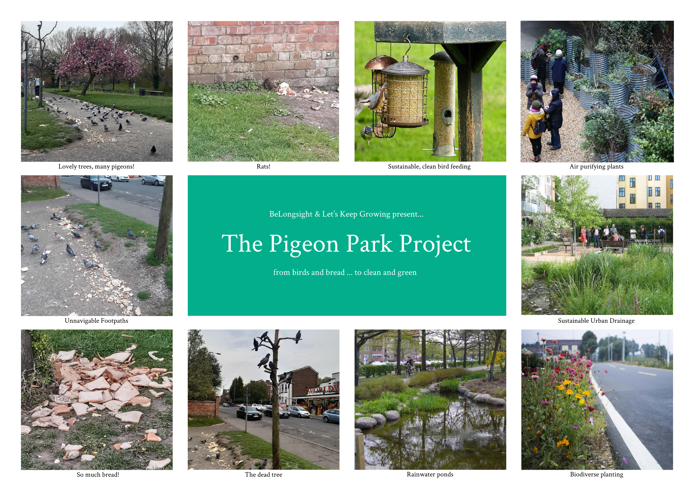 Moodboard Pigeon Park