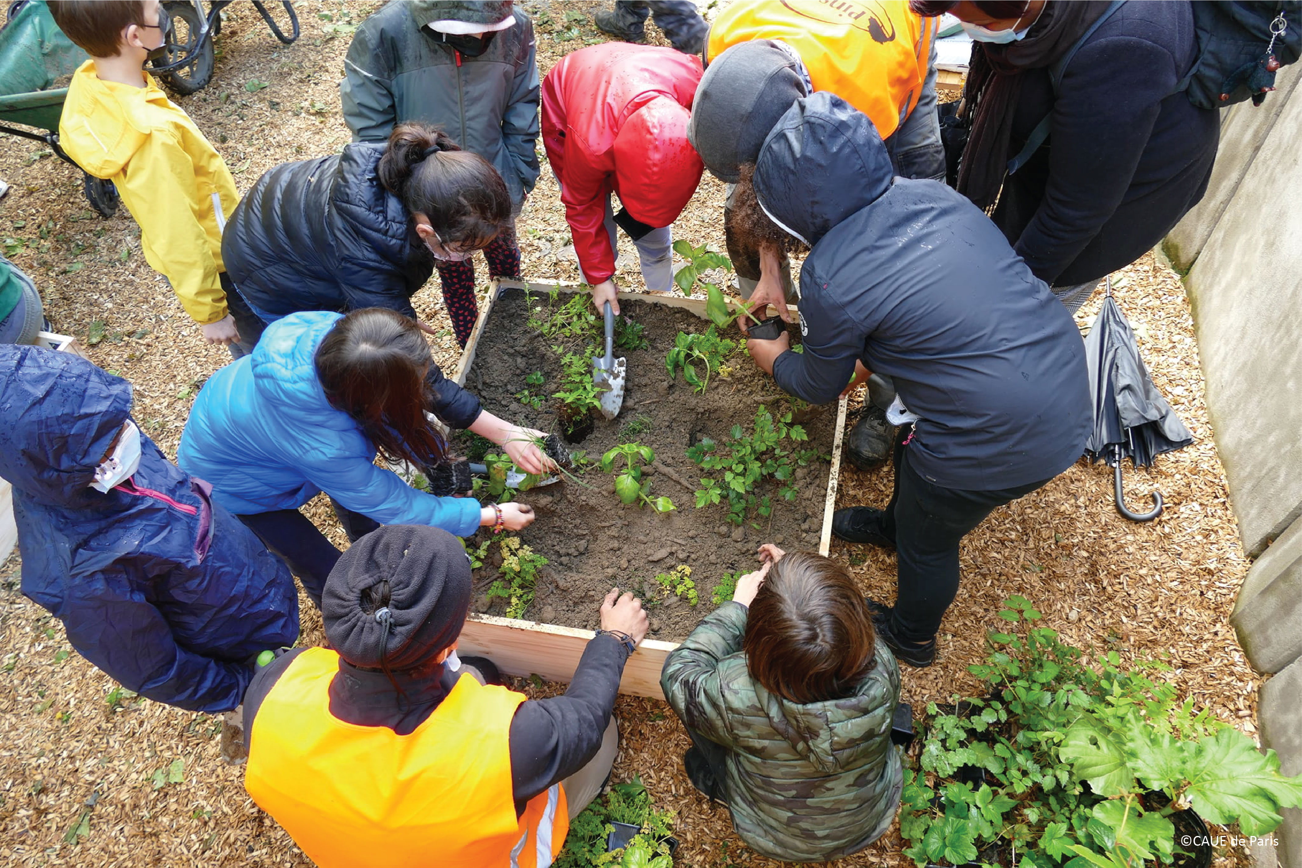 Intergenerational Activities