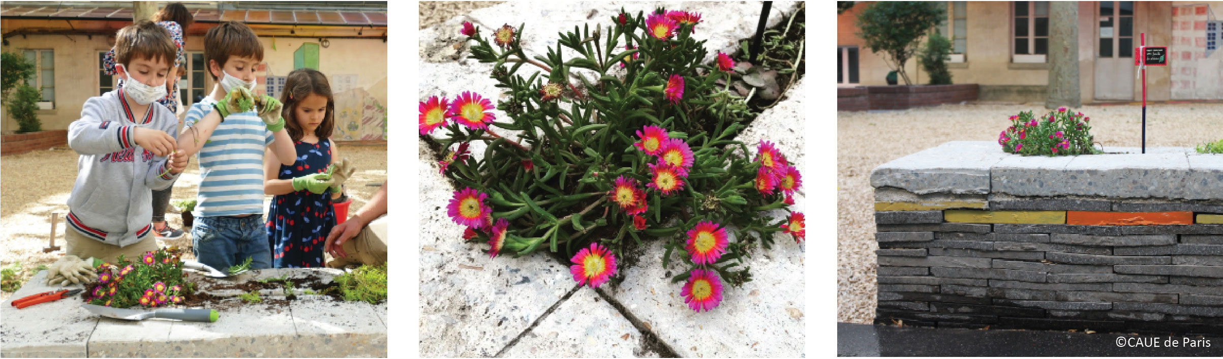 Workshops with pupils