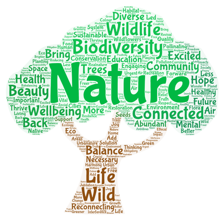 Word cloud: urban rewilding meaning