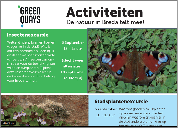 screenshot of activity flyer