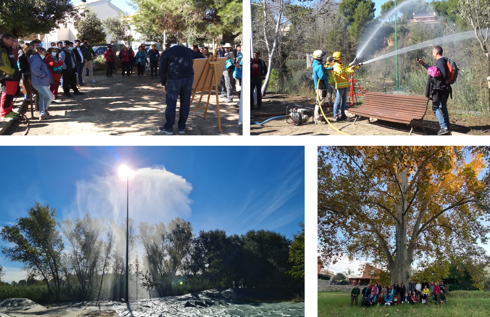 community participation day