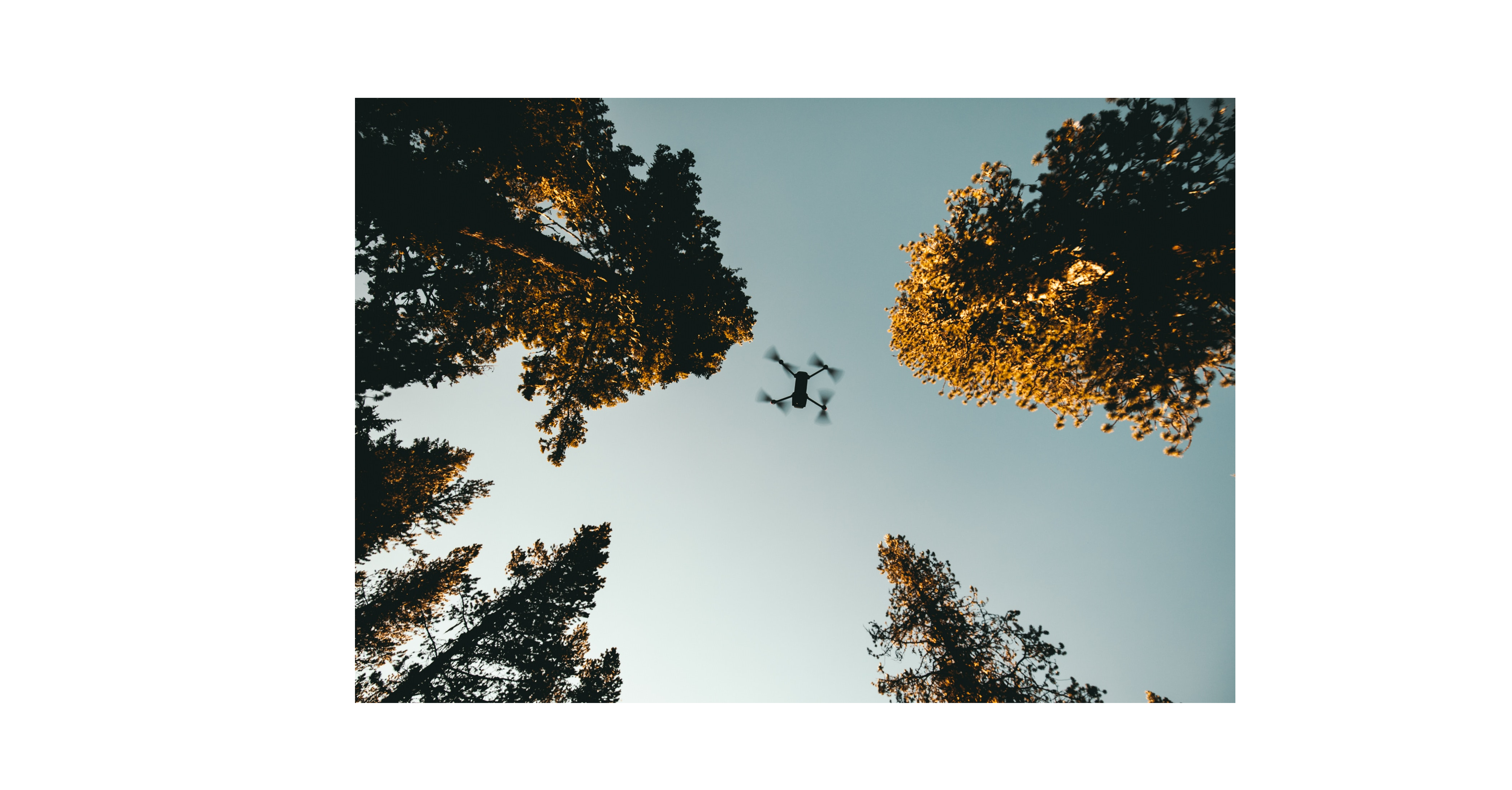 drone flying over trees