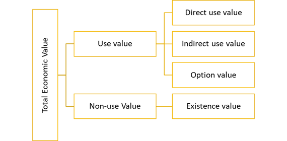 Figure 1. Total Economic Value – reproduced by IUCN, TNC, World Bank (2004)