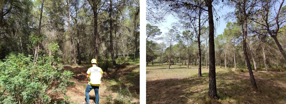 Medi XXI fuel management at GUARDIAN sites