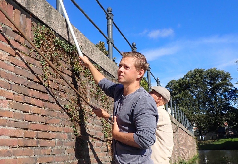 biodiversity monitoring at the quay wall