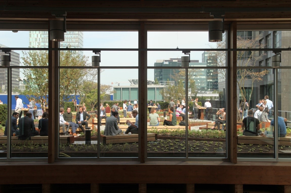 The CIRCL green roof seen from inside creating a connection with the natural and human external environment.
