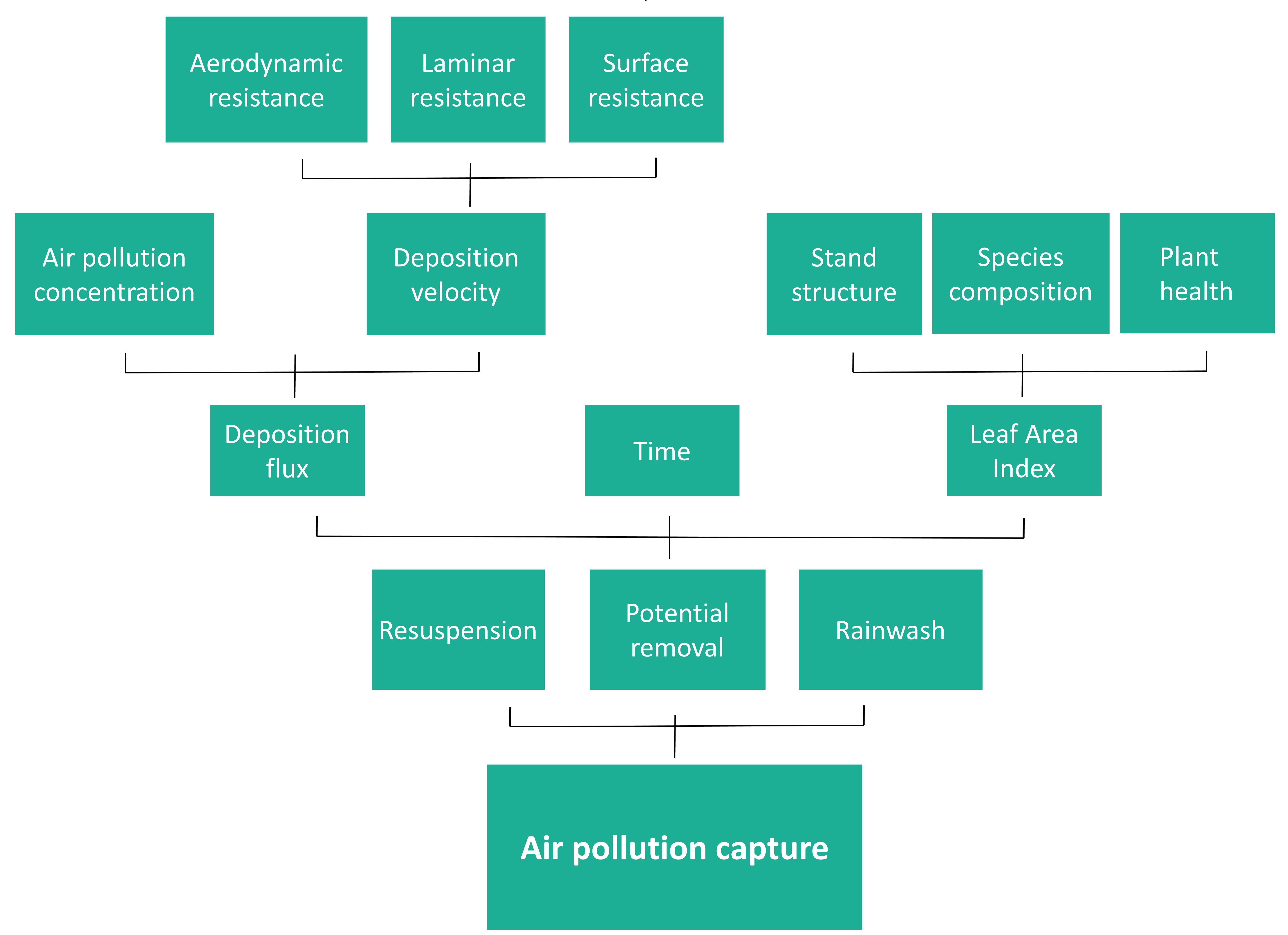 Simplified diagram of the model of pollutant capture by green infrastructure