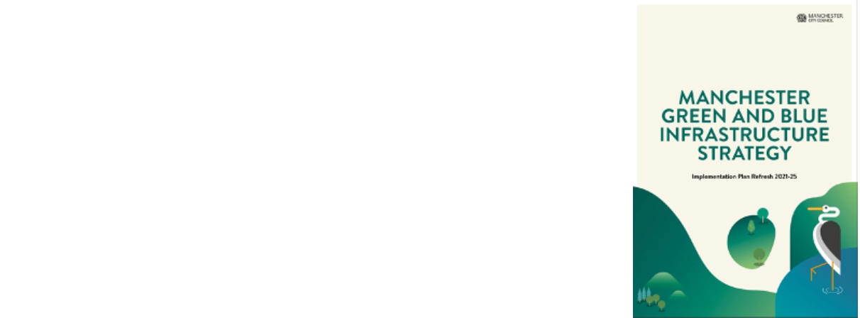 Cover of the strategy 