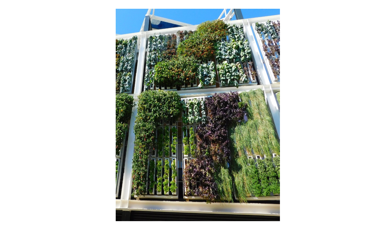 vertical gardens