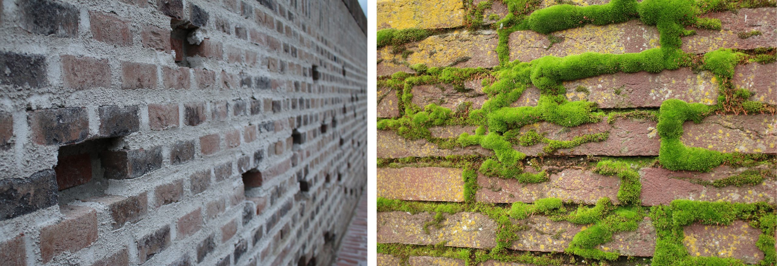 brickstone quay walls backed (left) invaded by mosses (right)