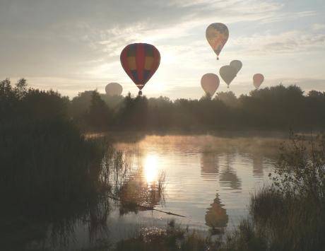 Announcement of approved projects