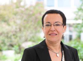 Nantes UIA project 5 bridges