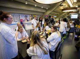 BRIDGE Rotterdam UIA