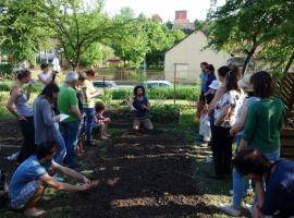 UrbanSoil4Food's urban gardens