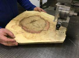 Szeged Ljubljana invasive plant research