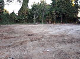 SALUS SPACE clearing