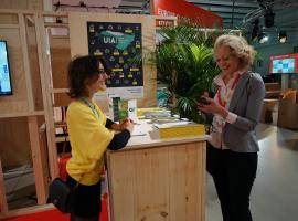 Individual consultations