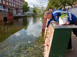 Checking vegetation grow on the walls of the small-scale pilot