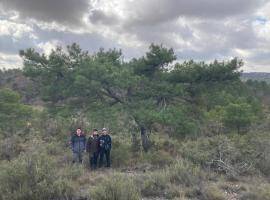 Dendron's team members