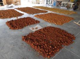 Earth Cycle Journal 1