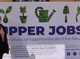 Upper Jobs