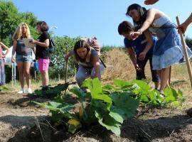 MARES Journal 6: get an update about Madrid project