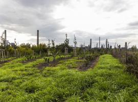 Planted! The CLAIRO project team has now created new greenery with an area  of more than 20 000 m² in total