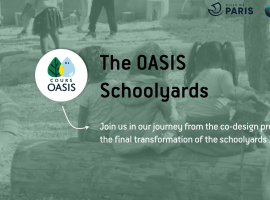 The OASIS journey: From the co-design process to the final transformation of schoolyards
