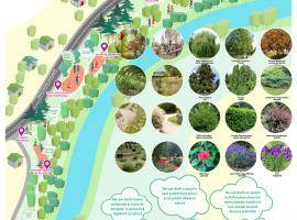 Colonia Topitorilor - Participatory process